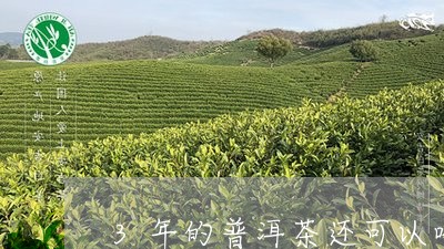 3年的普洱茶还可以喝吗洪海普洱茶/2023060322714