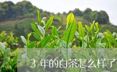 3年的白茶怎么样了/2023071385717