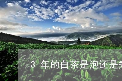 3年的白茶是泡还是煮/2023092770714