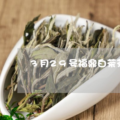 3月29号福鼎白茶茶博会/2023111658281