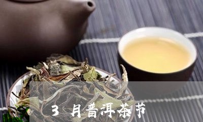 3月普洱茶节/2023042572652