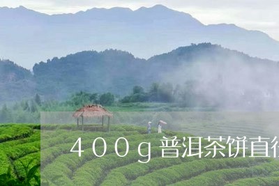 400g普洱茶饼直径/2023062295058