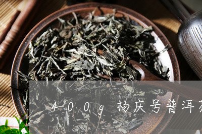 400g杨庆号普洱茶/2023061680596