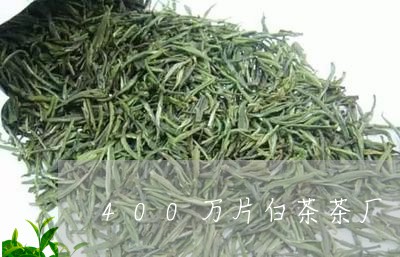 400万片白茶茶厂/2023071379407