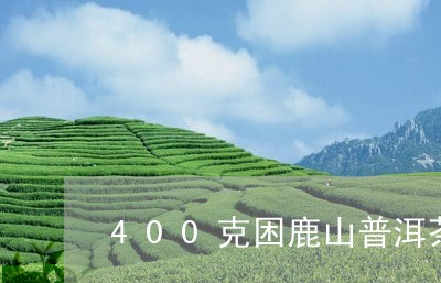 400克困鹿山普洱茶/2023061831504