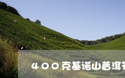 400克基诺山普洱茶/2023080353615