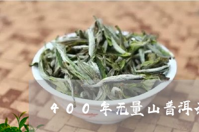 400年无量山普洱茶/2023062451507