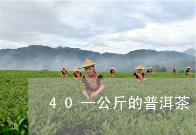 40一公斤的普洱茶/2023120567949