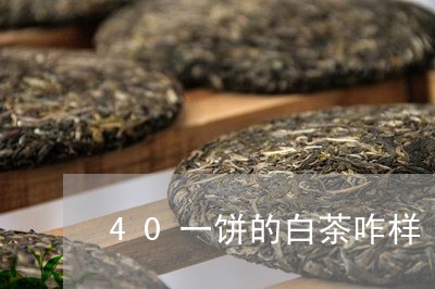 40一饼的白茶咋样/2023121555967