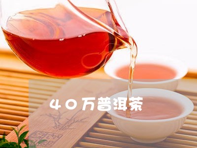 40万普洱茶/2023042769212