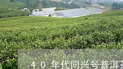 40年代同兴号普洱茶/2023061583827