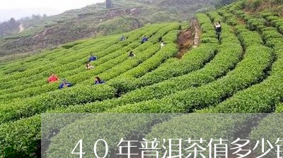 40年普洱茶值多少钱/2023072308072