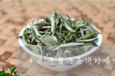 40年普洱茶饼好喝吗/2023120704071