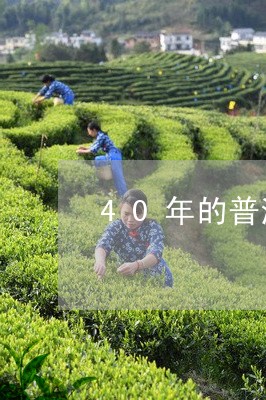 40年的普洱茶值多少钱/2023050605048