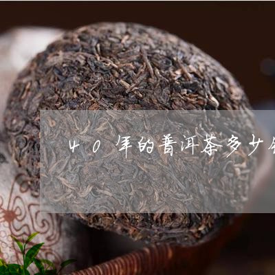 40年的普洱茶多少钱一斤啊/2023110277039