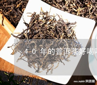 40年的普洱茶好喝吗/2023062394050