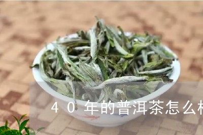 40年的普洱茶怎么样/2023072136959