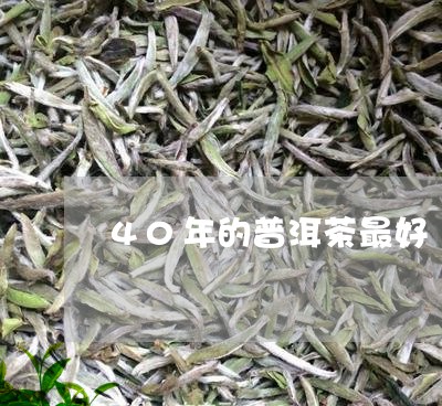 40年的普洱茶最好/2023120595747