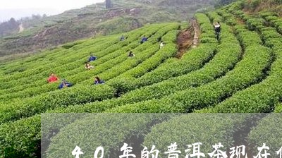 40年的普洱茶现在值多少钱/2023110546279