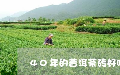 40年的普洱茶砖好吗/2023061472814