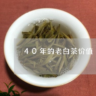 40年的老白茶价值/2023121528482