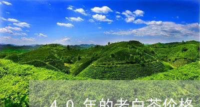 40年的老白茶价格/2023111767282