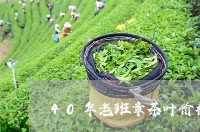 40年老班章茶叶价格/2023092322895