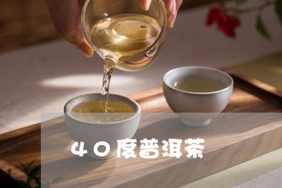 40度普洱茶/2023042800253