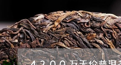 4200万天价普洱茶/2023092971481