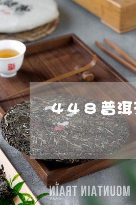 448普洱茶熟茶减肥/2023062870612