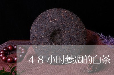 48小时萎凋的白茶/2023121546137