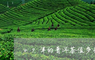 49年的普洱茶值多钱/2023092824940