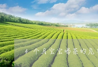 4个月宝宝喝茶的危害/2023092091594