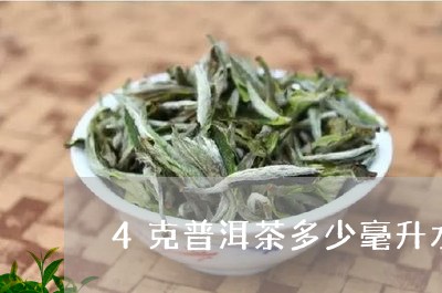 4克普洱茶多少毫升水/2023062971624