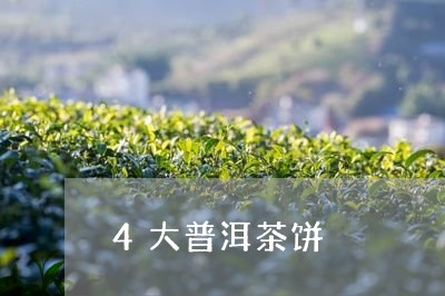 4大普洱茶饼/2023110546168