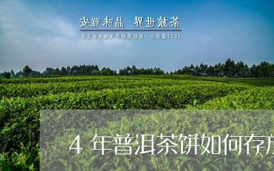 4年普洱茶饼如何存放/2023073004138