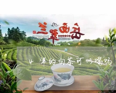 4年的白茶可以喝吗/2023121525249