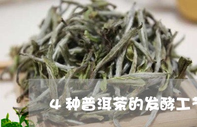 4种普洱茶的发酵工艺/2023073171502