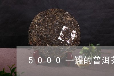 5000一罐的普洱茶/2023092852136