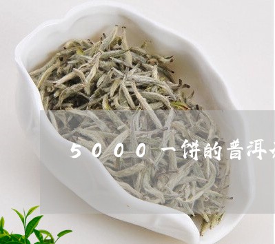 5000一饼的普洱茶/2023080237238