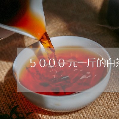 5000元一斤的白茶/2023092723069