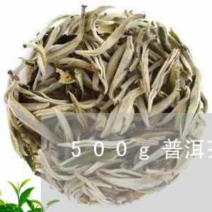 500g普洱茶饼直径多少/2023112447269