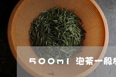 500ml泡茶一般放多少茶叶/2023053100614