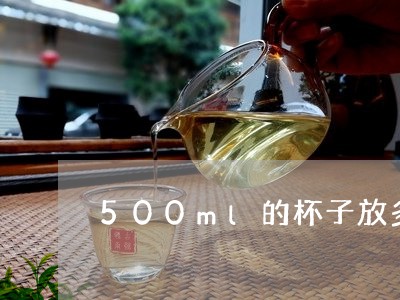 500ml的杯子放多少茶叶/2023052628473