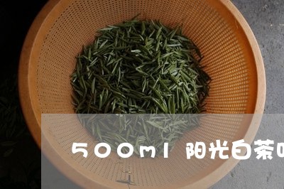 500ml阳光白茶叶/2023092763137