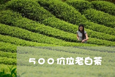 500价位老白茶/2023082647361