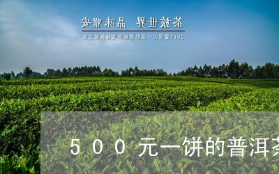 500元一饼的普洱茶/2023062146059