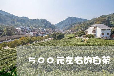 500元左右的白茶/2023071342702