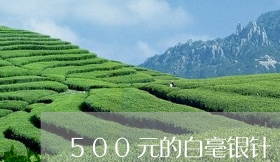 500元的白毫银针/2023120485929