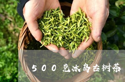 500克冰岛古树茶/2023042649593